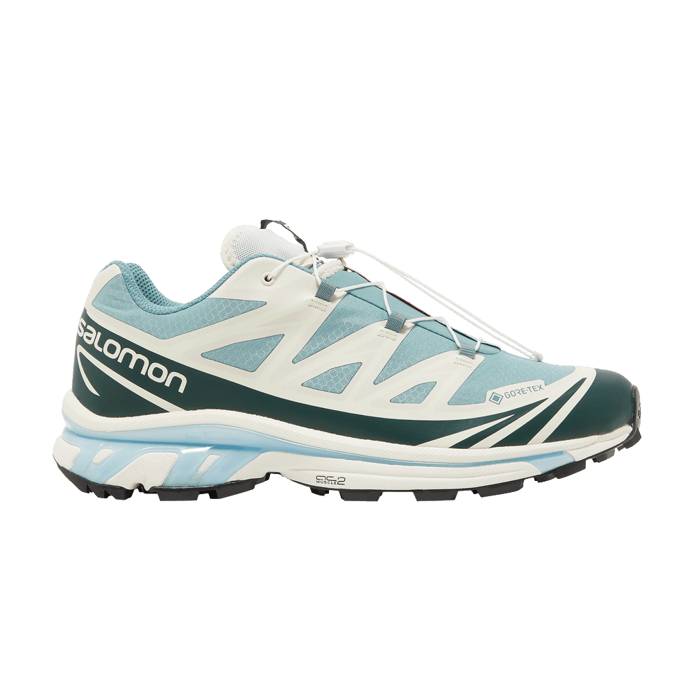 Kith x XT-6 GORE-TEX 'Trellis Ponderosa Pine'